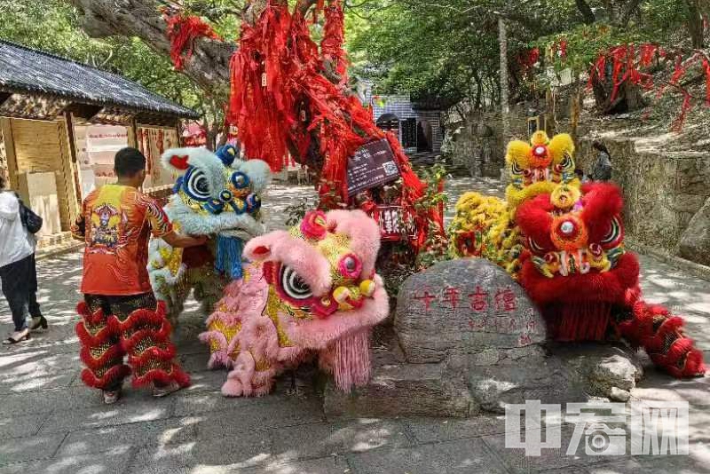 6月7日上午，2024山东省“乡村好时节·乐动生活”（枣庄会场）暨冠世榴园青檀寺景区“开园焕新”启动仪式在山东文旅冠世榴园青檀寺景区举行。